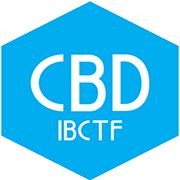 展会标题图片：2024第26届中国国际建筑贸易博览会（中国建博会 CBD）